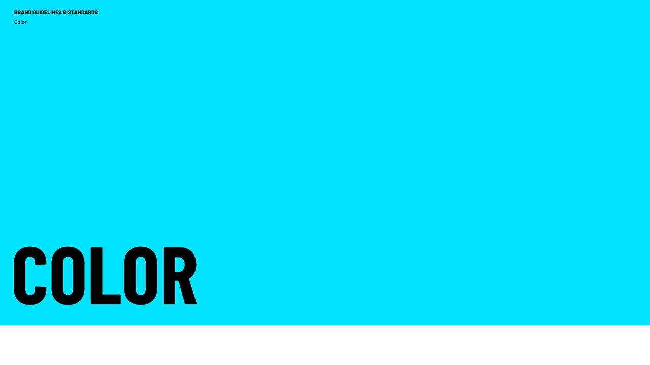 Clio Trash BG 10 Clio Trash BG 10