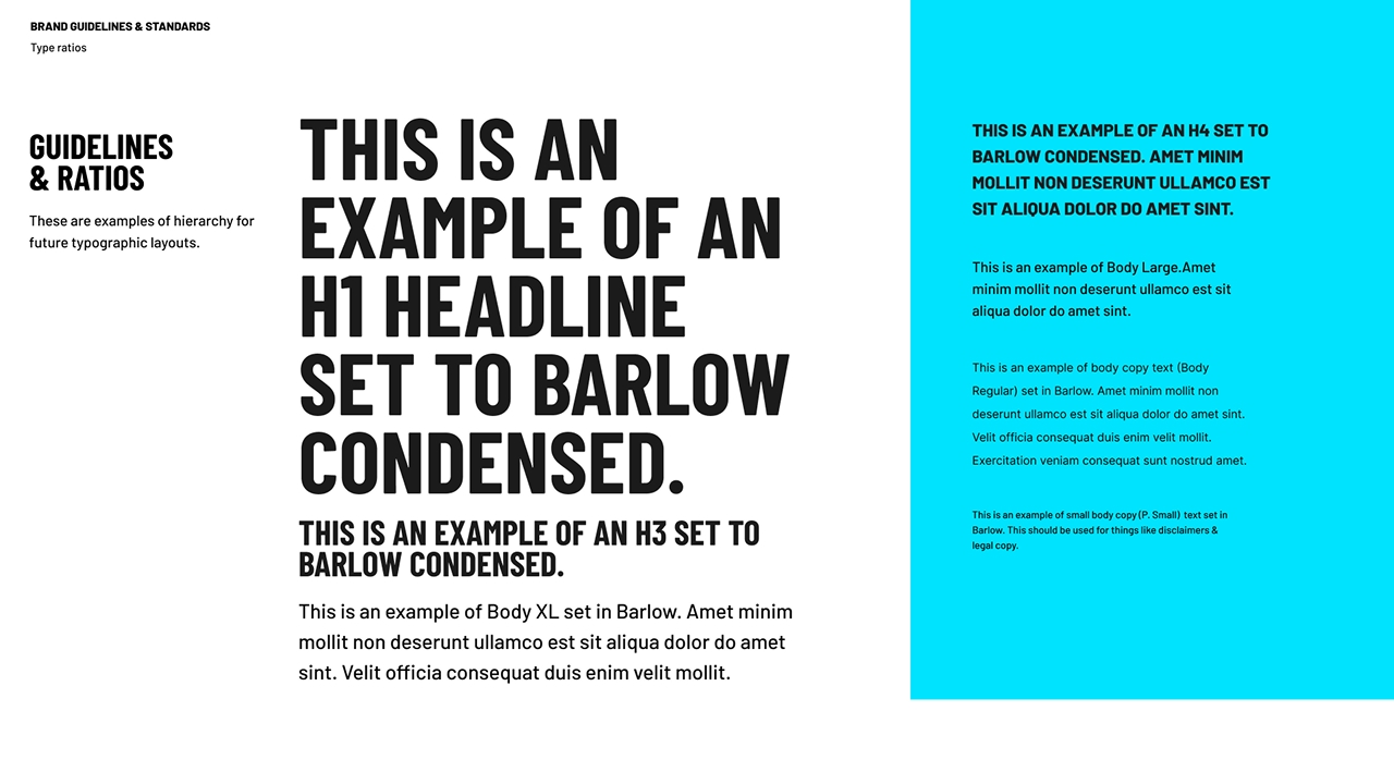 Clio Trash BG 9 Clio Trash BG 9