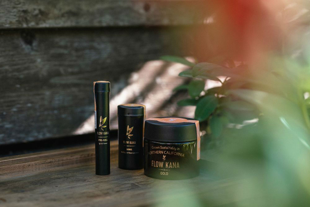 flow-kana-template-1571433395100-w1366-h768-1 flow-kana-template-1571433395100-w1366-h768-1