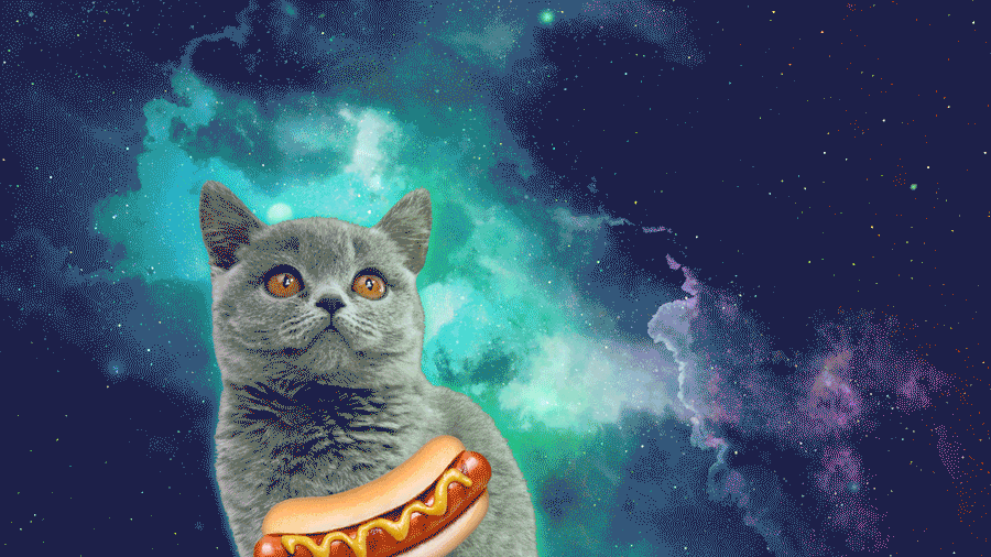 fx_blog_header_laser-kitty fx_blog_header_laser-kitty