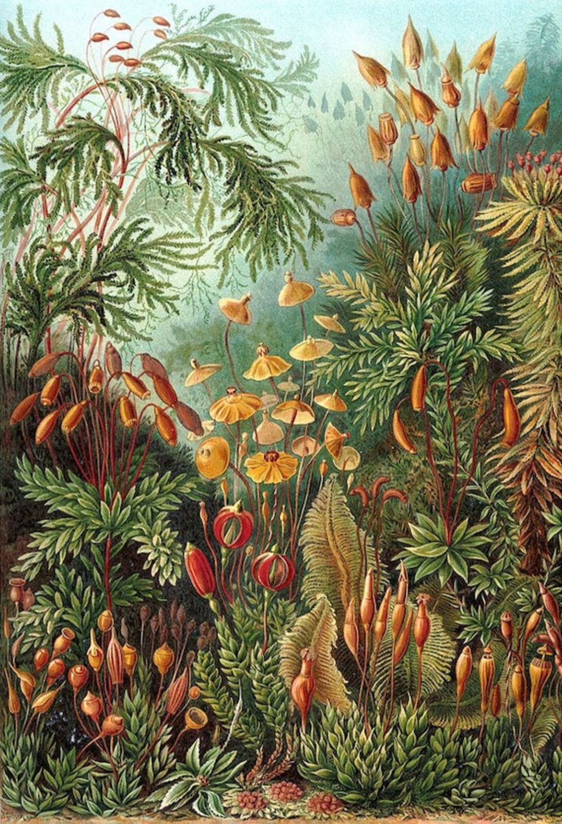 Screenshot 2025-08-28 at 9.19.37 AM