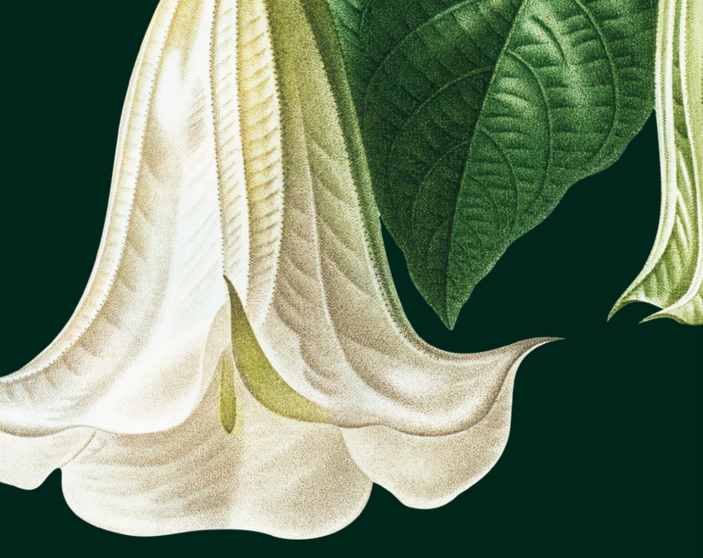 Screenshot 2025-08-28 at 9.19.46 AM