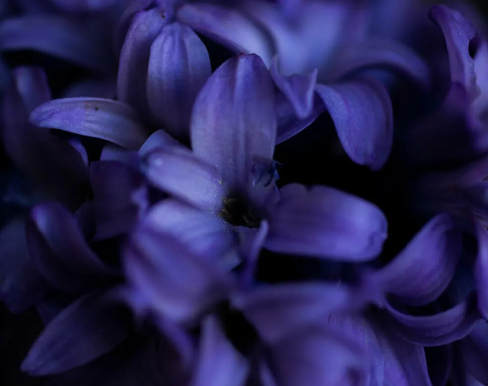 Screenshot 2025-08-28 at 9.20.03 AM