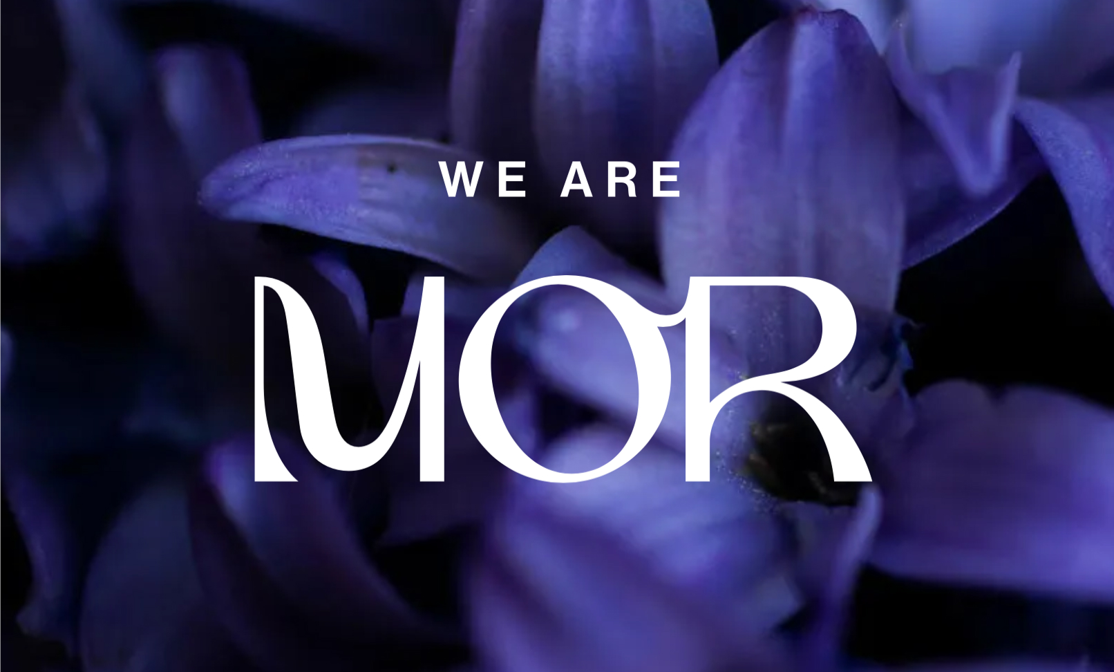 We are Mor We are Mor