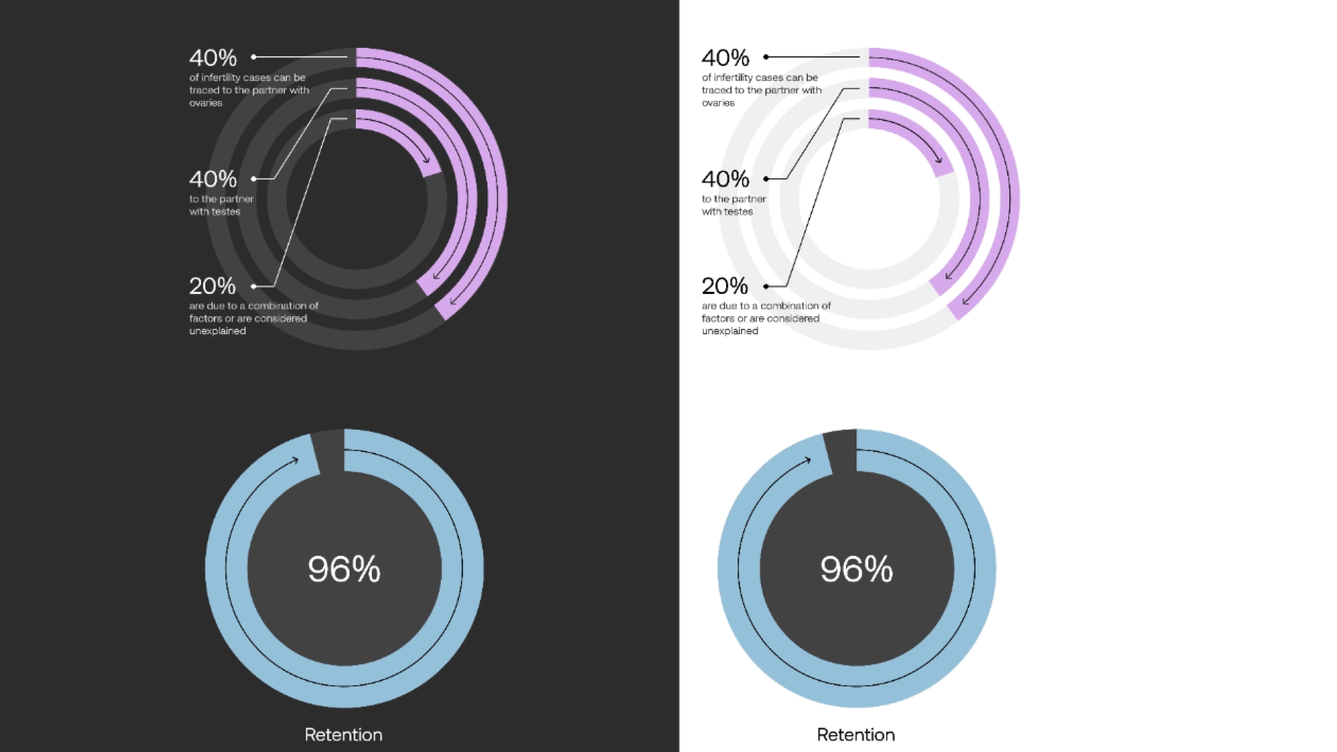Carrot Brand Data Visualization-2