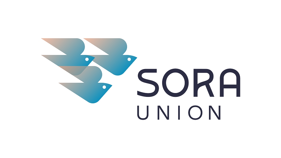 Sora Logo